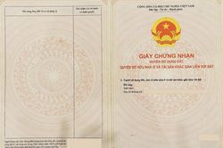 Mã định danh địa điểm có thay thế 'sổ đỏ'?