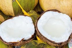 Phát triển hiệu quả, bền vững ngành hàng dừa