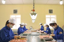 Nhà máy Z121 (Tổng cục Công nghiệp Quốc phòng): Đoàn kết, sáng tạo để phát triển