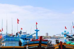 Chống khai thác IUU: Liên thông dữ liệu, phối hợp xử lý