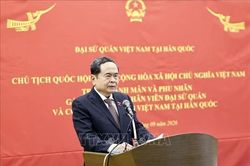 Phát huy vai trò cộng đồng người Việt, làm sâu sắc quan hệ Việt Nam - Hàn Quốc