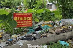 Cần Thơ: Xử lý dứt điểm các 'điểm nóng' rác thải