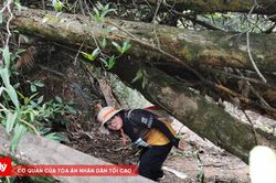 Gần 2.000 vận động viên chinh phục địa hình Yên Tử