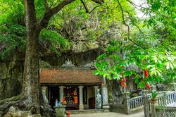 Phủ Khống với cây thị cổ thụ 'hai loại quả' và bí ẩn mộ vua Đinh giữa Tràng An