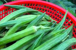 Loại quả rẻ bèo bán đầy chợ giúp kiểm soát đường huyết hiệu quả