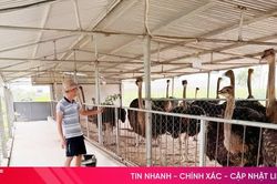 Hà Tĩnh đưa khoa học, công nghệ vào thực tiễn sản xuất