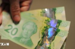 Canada công bố tờ tiền mới có tính năng bảo mật cao