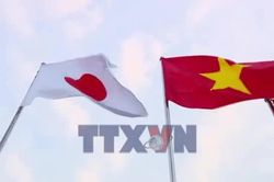 Mở rộng 'nhịp cầu' hợp tác giữa thành phố Huế với các đối tác Nhật Bản