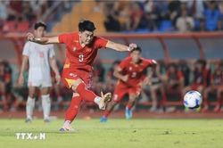 Tuyển Việt Nam: Từ ASEAN Cup đến FIFA ASEAN Cup