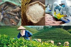 Nông sản Việt nâng chuẩn để vào sâu chuỗi cung ứng toàn cầu