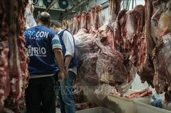 Brazil phản ứng trước quyết định EU đình chỉ nhập khẩu thịt