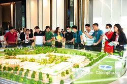 Người làm môi giới bất động sản không có chứng chỉ hành nghề bị phạt