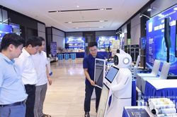 Thanh Hóa nâng cấp “làn xanh” còn 24 giờ