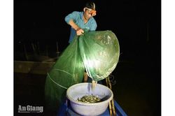Nước về ngang ký ức