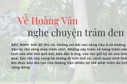 Về Hoàng Vân nghe chuyện trám đen