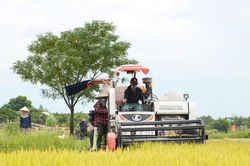 'Tam nông', thao thức và kỳ vọng