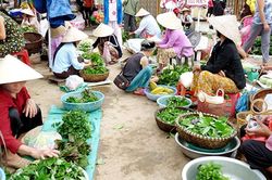 Quê hương trong dáng ngồi
