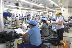 8 tháng, Đà Nẵng có gần 5.000 doanh nghiệp thành lập mới