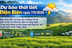Bản tin Dự báo thời tiết ngày 7/9/2026