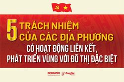 [Infographic] Luật Phát triển đô thị: Các địa phương có hoạt động liên kết, phát triển vùng với đô thị đặc biệt có trách nhiệm gì?