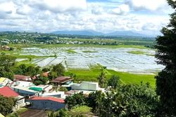 705 xã, phường chưa đạt chuẩn: Có tiếp tục sáp nhập?