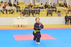 170 VĐV tranh tài tại Đại hội TDTT môn võ cổ truyền tỉnh Gia Lai 2026