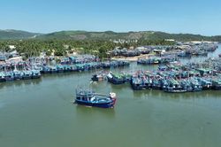 Đề nghị phối hợp xử lý thuyền trưởng tàu cá ở Hoài Nhơn Đông có dấu hiệu trì hoãn nộp phạt