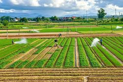 Nghề xưa vẫn chảy bên dòng sông Côn