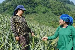 Phát huy vai trò “hạt nhân” của bí thư chi bộ