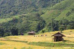 Kho "no ấm" dưới chân núi Sinh Tcha Pao