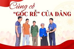 Củng cố "gốc rễ" của Đảng