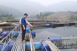 Nhân rộng mô hình nuôi trồng thuỷ sản có hiệu quả