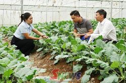 Tưới tiết kiệm, nâng hiệu quả sản xuất