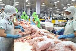 Thuế Mỹ gây sức ép, xuất khẩu thủy sản chuyển hướng sang châu Á