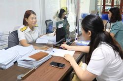Tăng tốc làm sạch gần 95.000 mã số thuế từ đầu năm