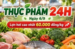 Thực phẩm 24h ngày 6/9: Giá lợn hơi đi ngang, cao nhất 60.000 đồng/kg