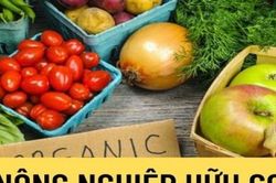 Những 'điểm nghẽn' cần tháo gỡ trong phát triển nông nghiệp hữu cơ hiện nay