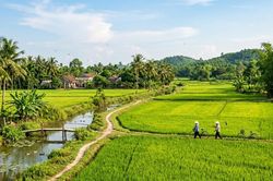 Thương em Thái Mỹ tình quê: Sự giao thoa giữa tân và cổ của hồn quê