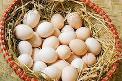 Ăn trứng bị đau bụng và hội chứng không dung nạp trứng