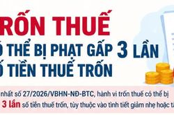 Cảnh báo: Hành vi trốn thuế có thể bị phạt tiền gấp 3 lần