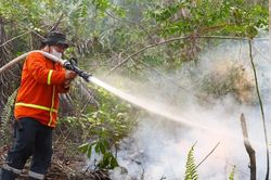 Liên hợp quốc cảnh báo El Nino có thể mạnh nhất trong nhiều thập niên