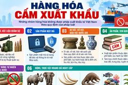 Không phải hàng hóa nào cũng được phép xuất khẩu