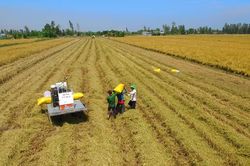 Nông nghiệp sinh thái: 'Tấm hộ chiếu xanh' cho nông sản Việt - Bài 1: Từ lựa chọn xanh đến xu hướng tái cấu trúc nền nông nghiệp