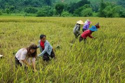 Những 'cầu nối' đưa bình đẳng giới về với bản làng