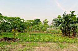 Đại lộ sông Hồng: Những ai phải di dời, được tái định cư ở đâu?