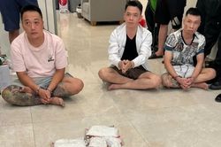 Phá đường dây mua bán, vận chuyển trái phép chất ma túy xuyên quốc gia, bắt 740 đối tượng