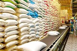 Tạo nền tảng lâu dài cho xuất khẩu gạo