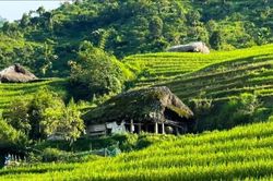 Điểm tựa để đồng bào vùng biên vươn lên thoát nghèo