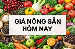 Giá nông sản hôm nay 7/9/2026: Giá cà phê xuất khẩu chịu áp lực lớn, Brazil ra hàng chậm hơn; Nông sản Thái Lan 'mở rộng' thị trường Trung Quốc