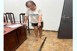Bắt tạm giam người phụ nữ cầm dao, cuốc đuổi đánh người dân